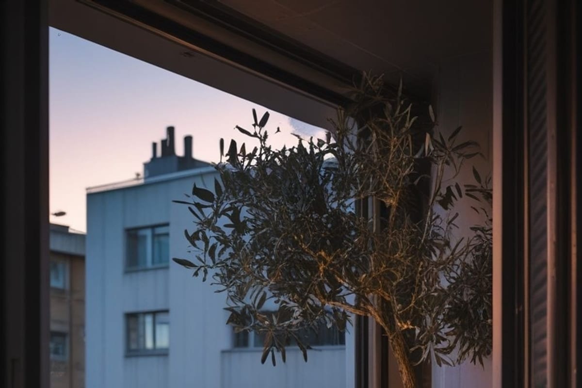 Balcón estrecho con mesa plegable, silla de ratán, plantas en la barandilla y luz cálida al atardecer